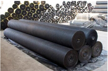 �p���������